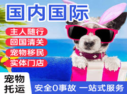 北京大兴机场物流国际宠物托运 【国